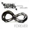  ,  UK, MP3 : Wolfgang Gartner - Forever  mp3